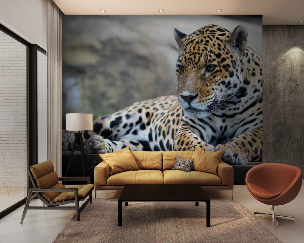 Pisică pătată pe stâncă — interior 1