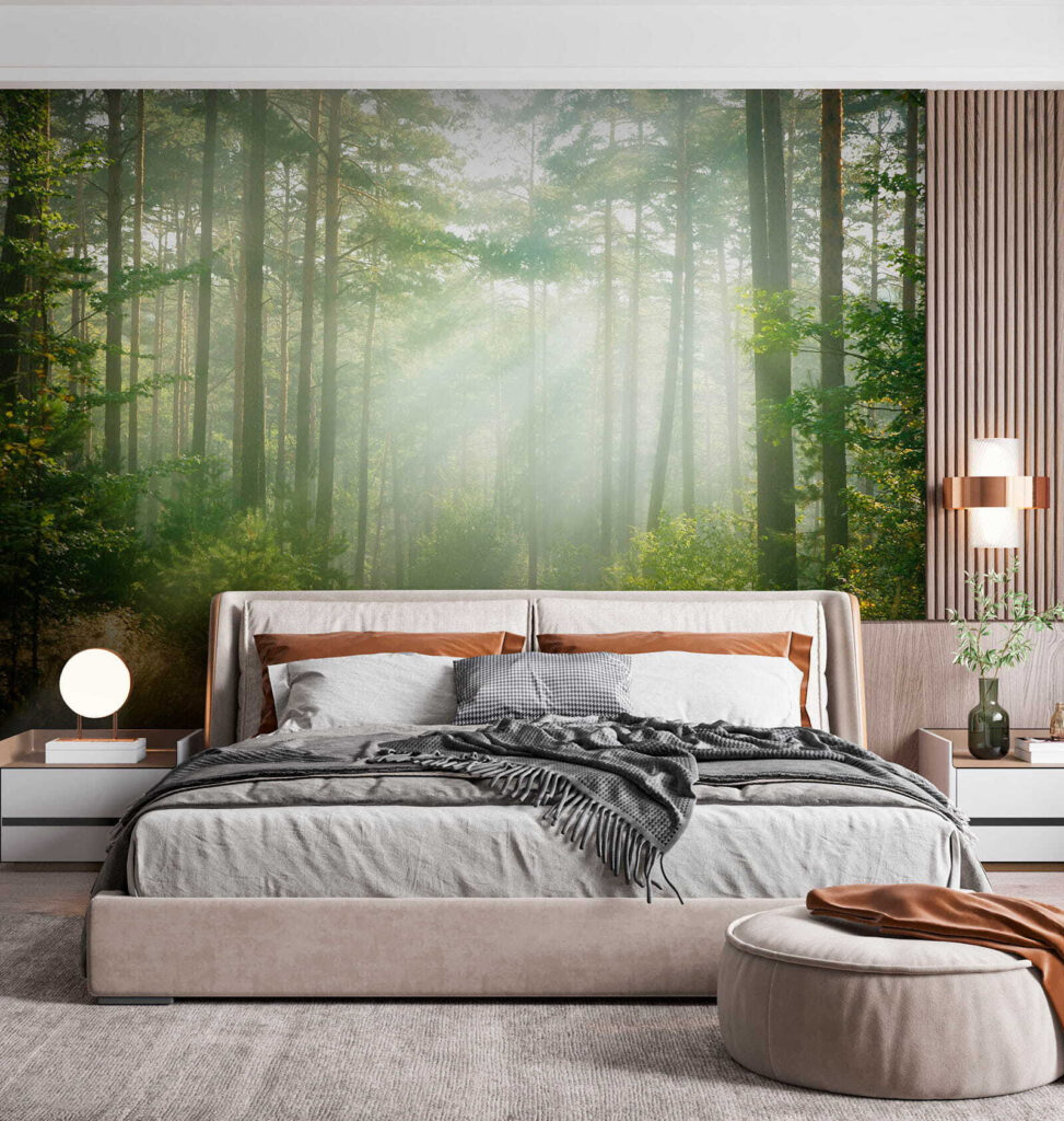 Raze prin copaci înalți — interior 4