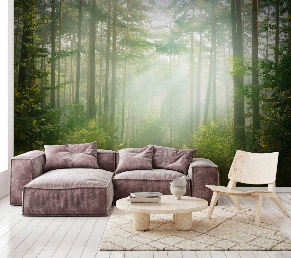 Raze prin copaci înalți — interior 6