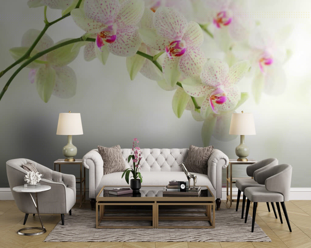 Orhidee peste unde — interior 1