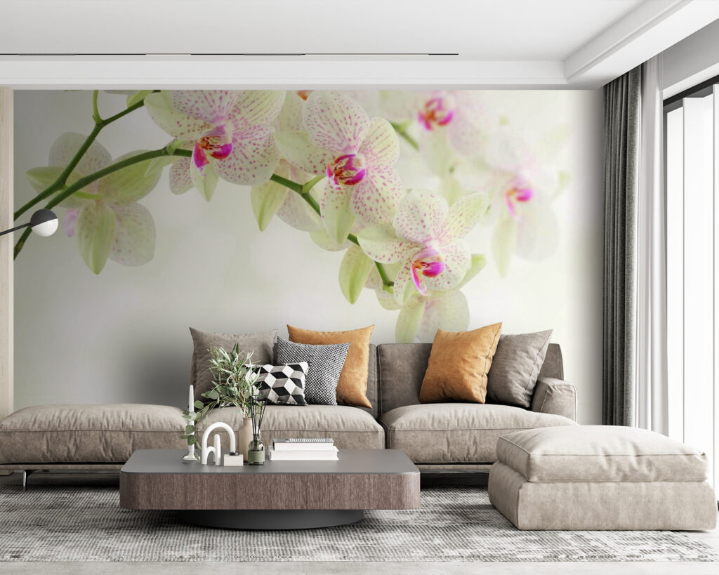 Orhidee peste unde — interior 5