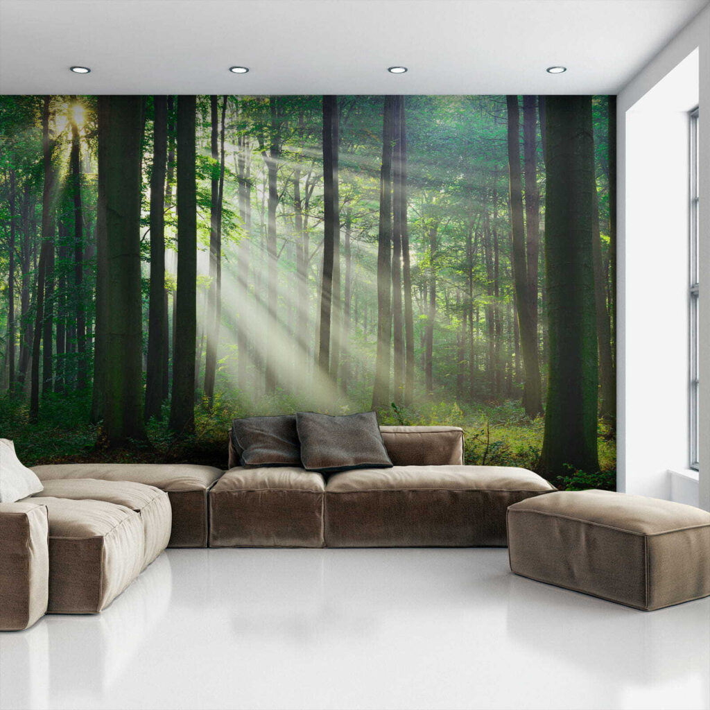 Lumină prin trunchiuri — interior 4