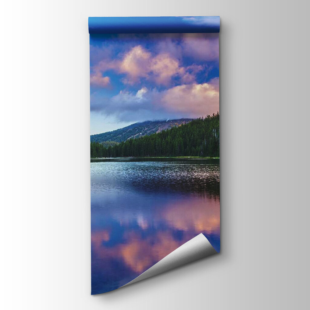 Pădure reflectată în lac — vizualizare produs