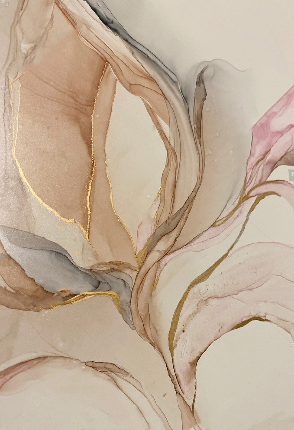 Nervuri fine — design complet