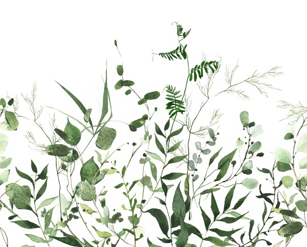 Crengi verzi pe alb — design complet