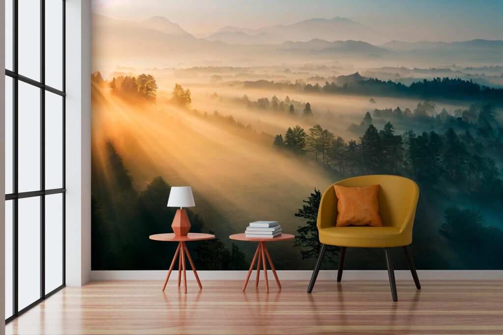 Soare peste pădure — interior 2