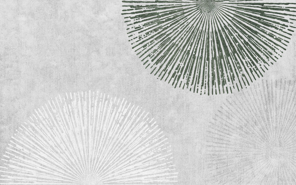 Cercuri din raze fine — design complet