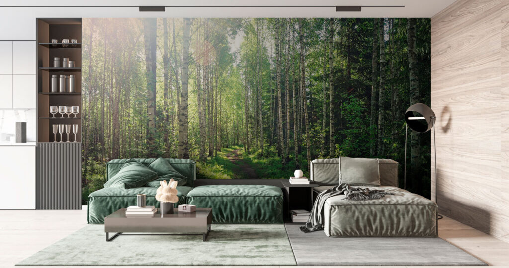 Lumină pe cărarea pădurii — interior 3