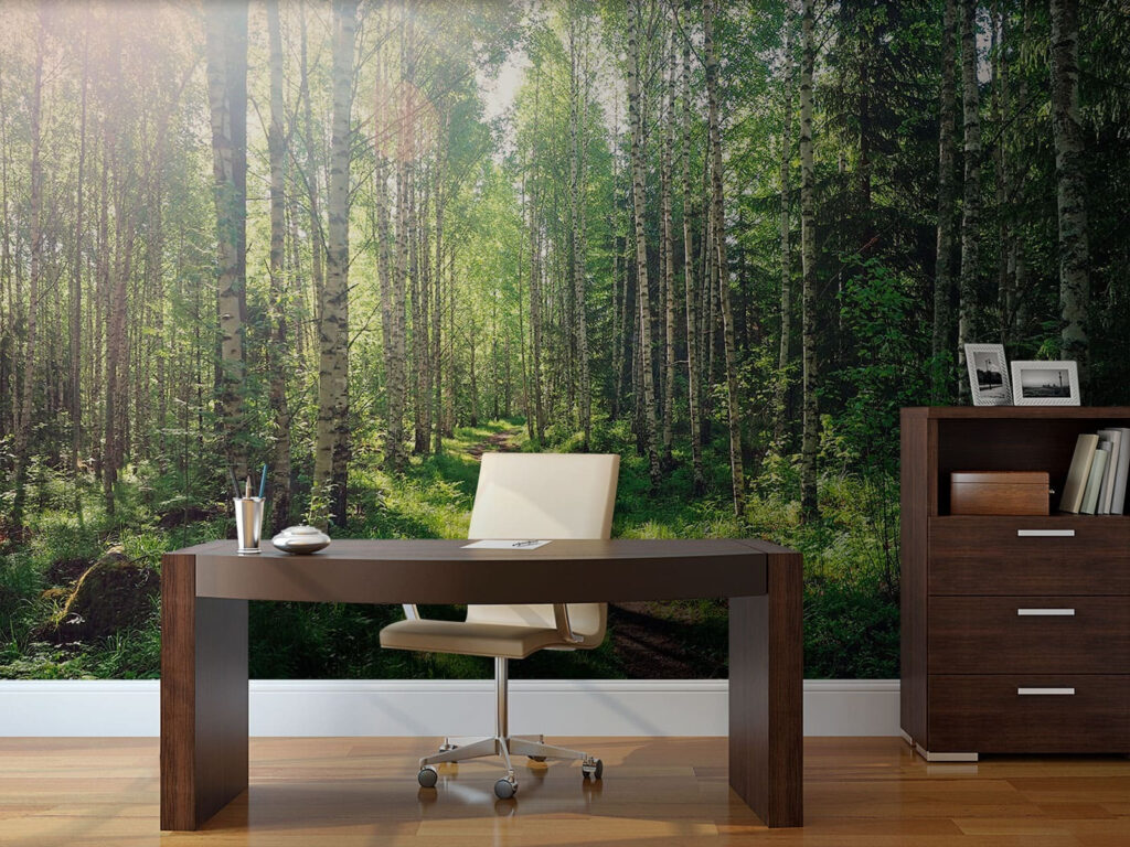 Lumină pe cărarea pădurii — interior 1