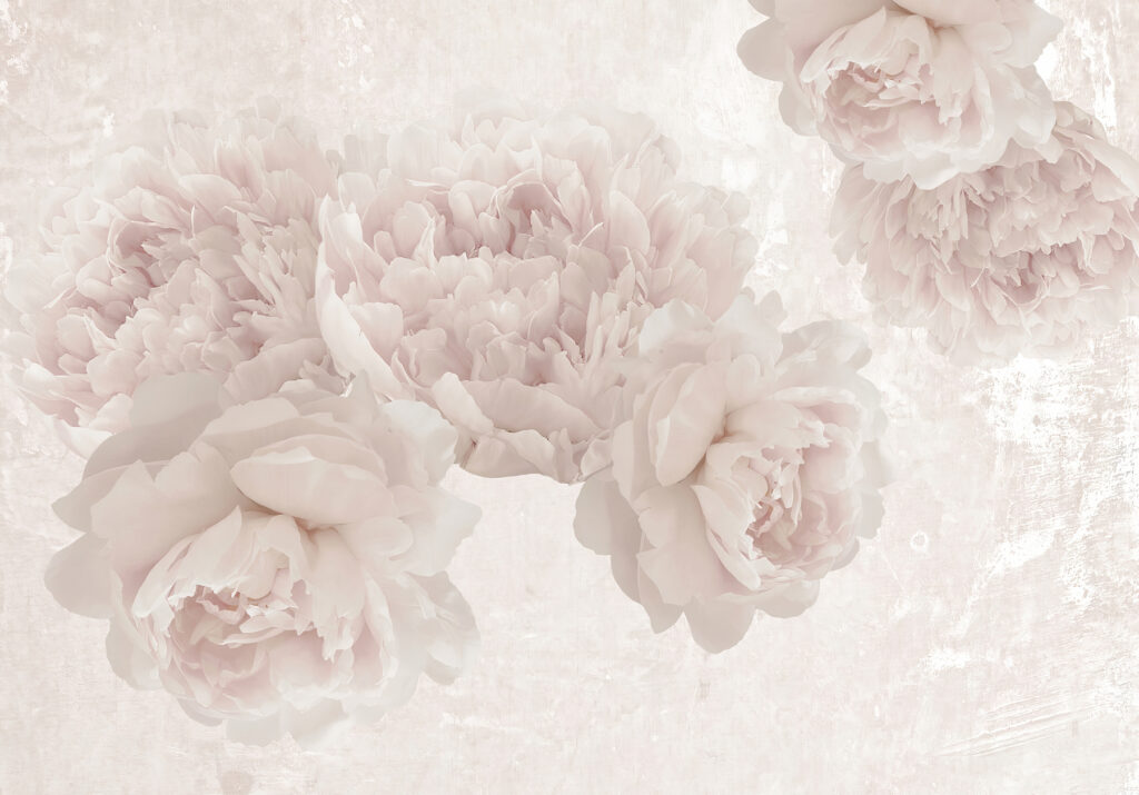 Trandafiri în lumină estompată — design complet