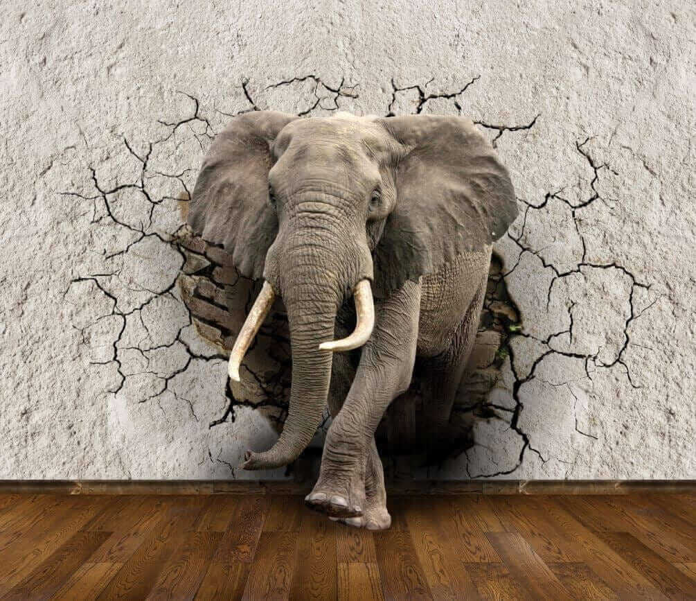 Elefant prin perete crăpat — design complet