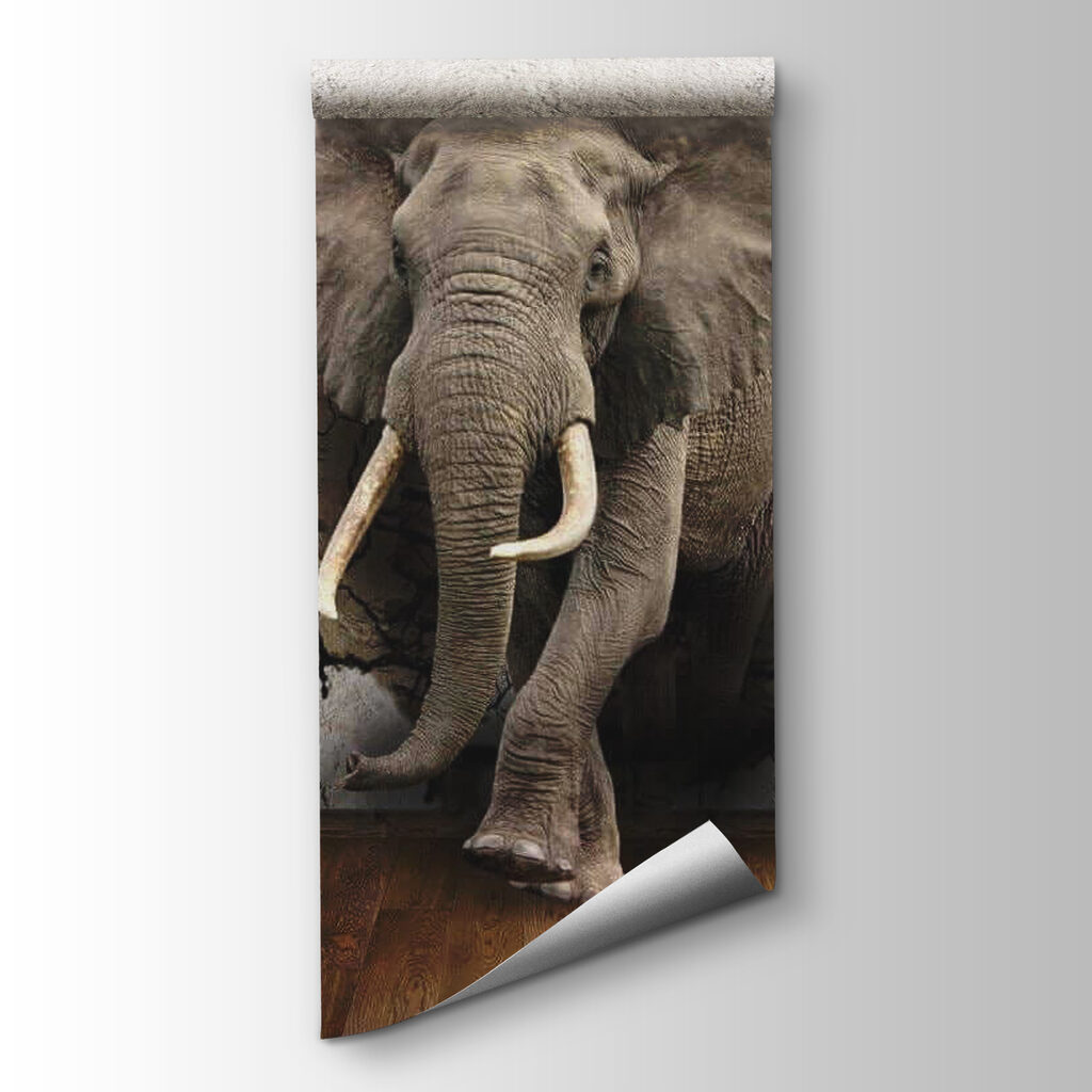 Elefant prin perete crăpat — vizualizare produs