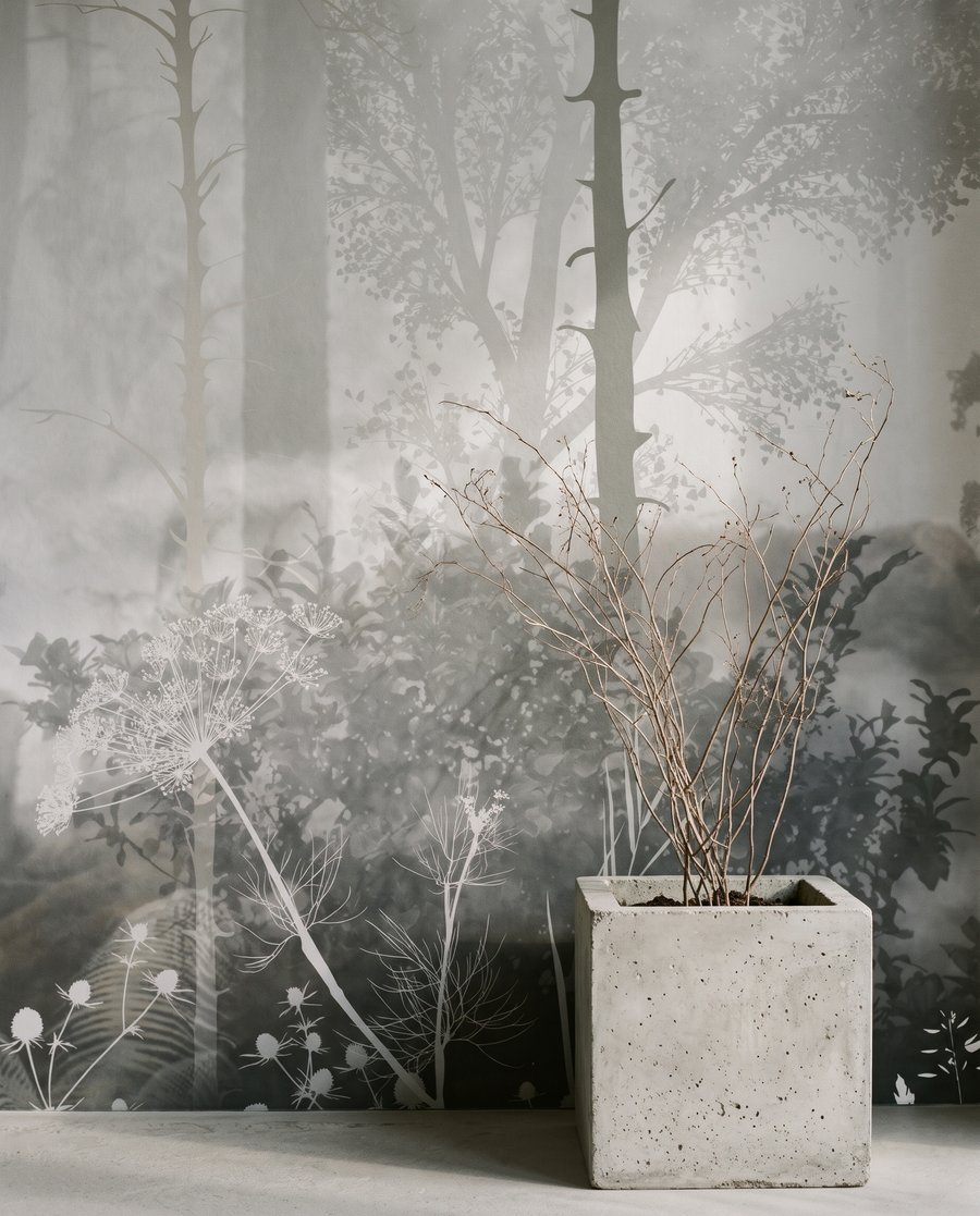Lumină între trunchiuri drepte — interior 8