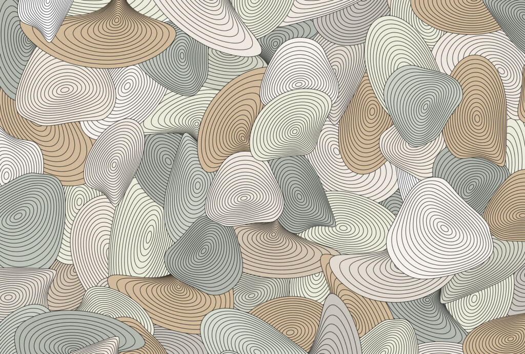 Forme rotunde cu contur — design complet