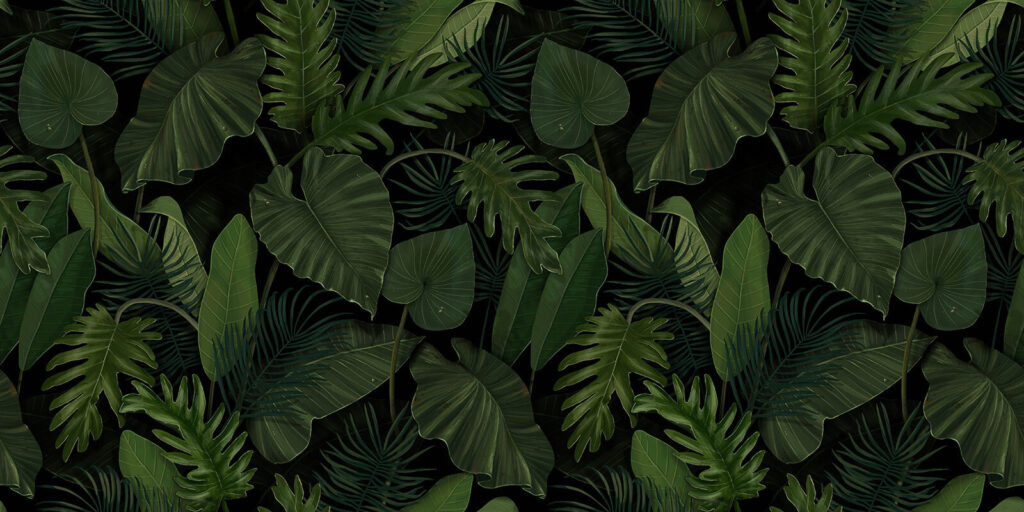 Frunze verzi de pădure — design complet