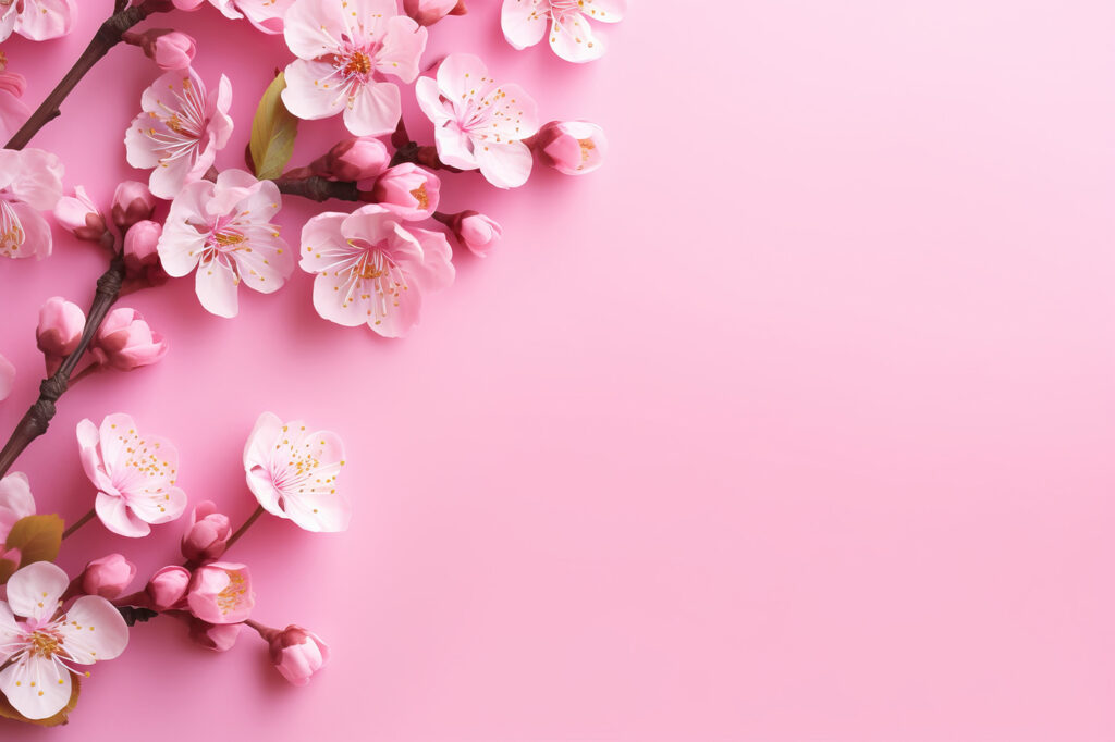 Bordură de flori roz — design complet