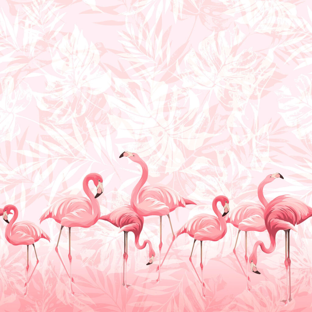 Flamingi strânși laolaltă — design complet