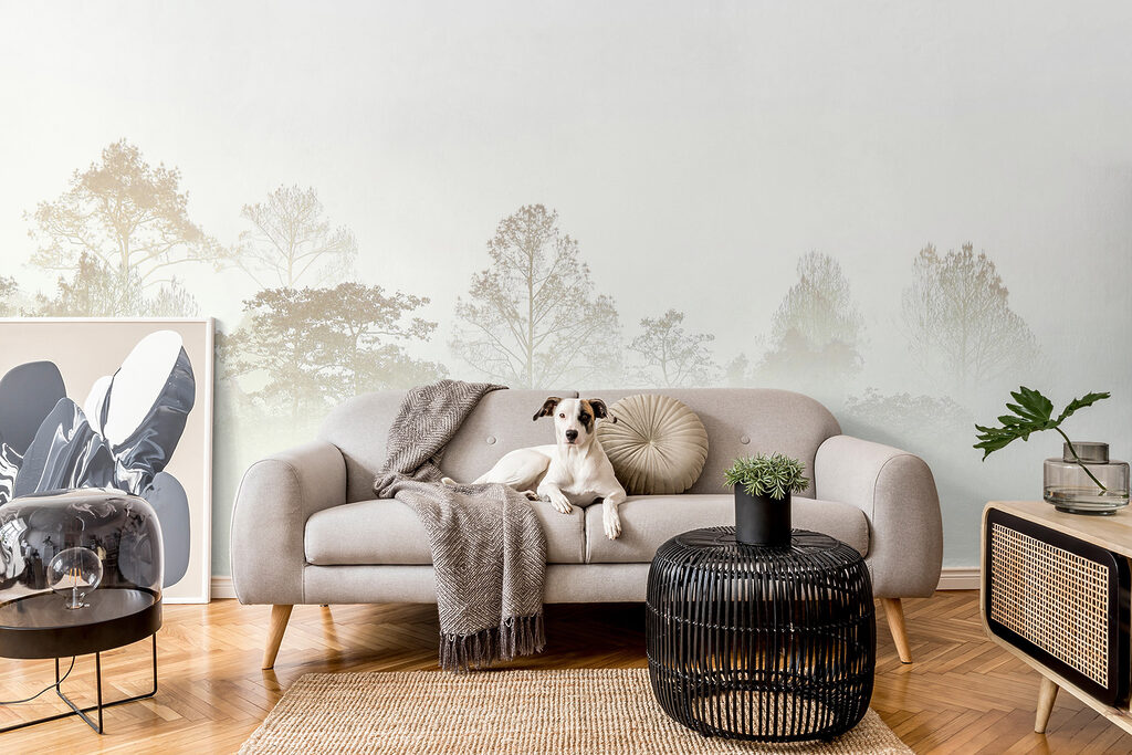 Pădure care se topește — interior 4
