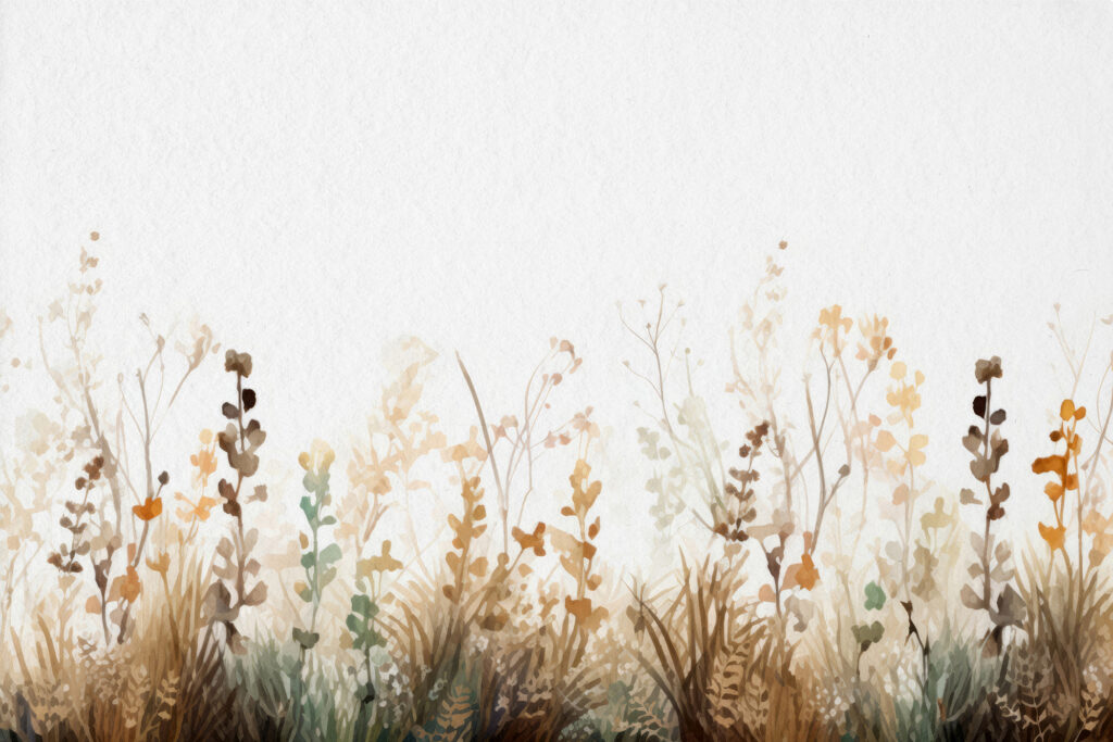 Flori uscate pe margine — design complet