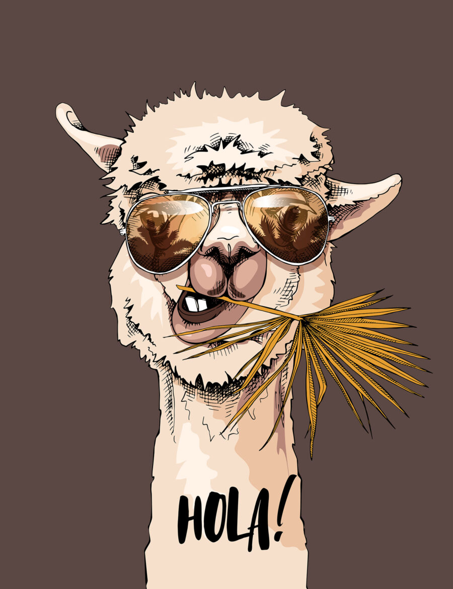 Lama cu ochelari — design complet