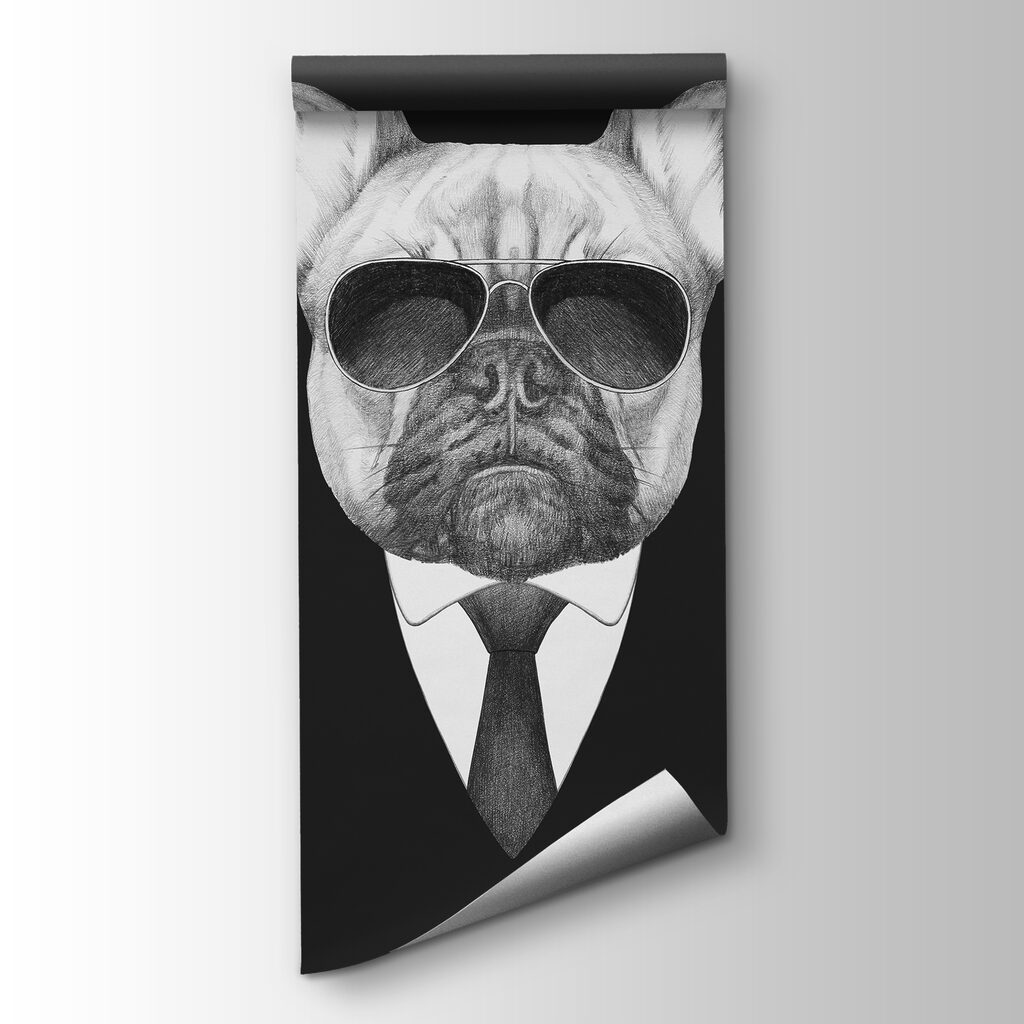 Buldog în costum — vizualizare produs