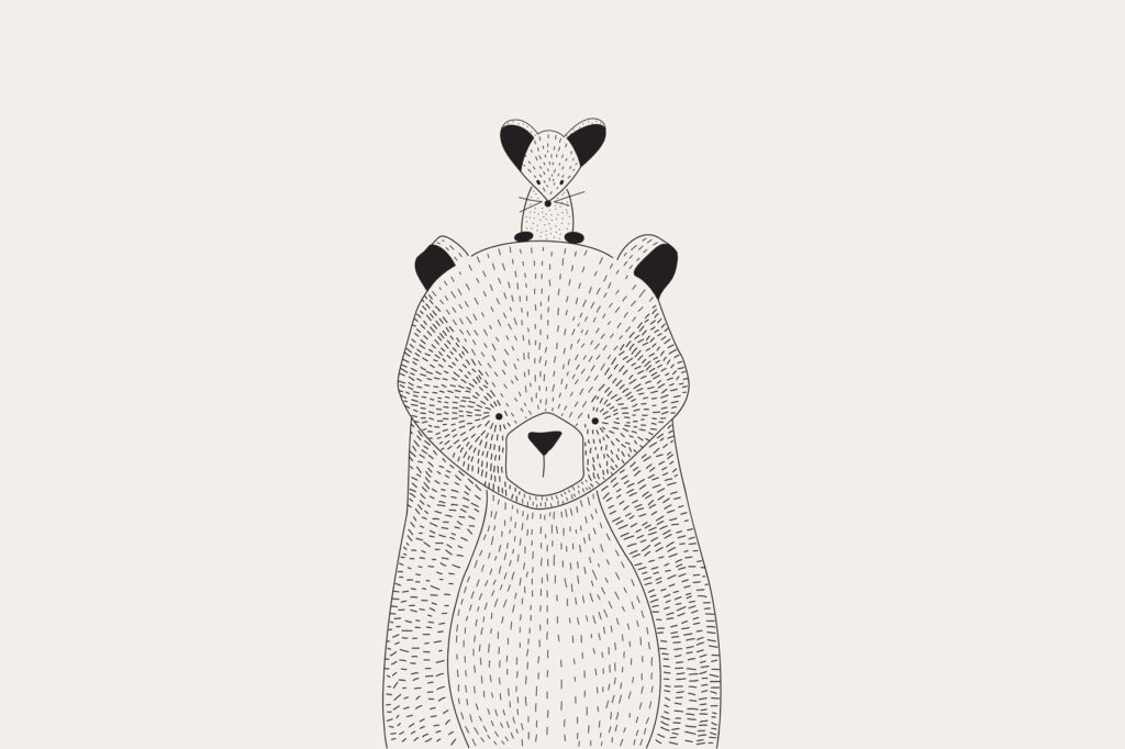Șoricel pe urs — design complet