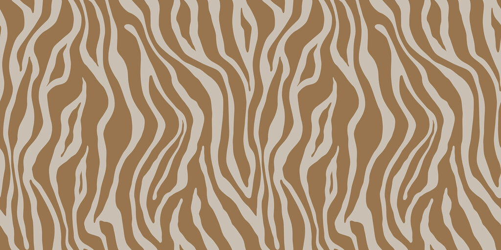 Dungi de zebră — design complet
