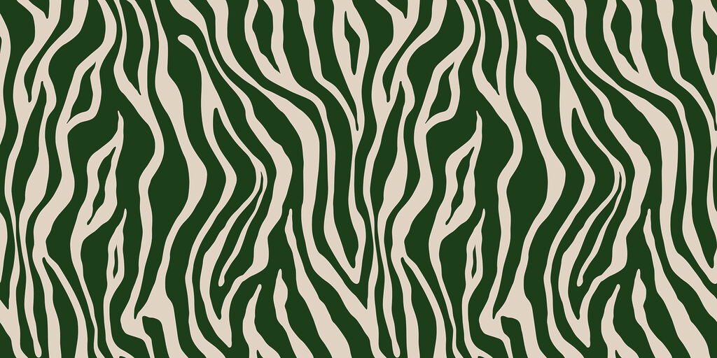 Dungi de zebră — design complet
