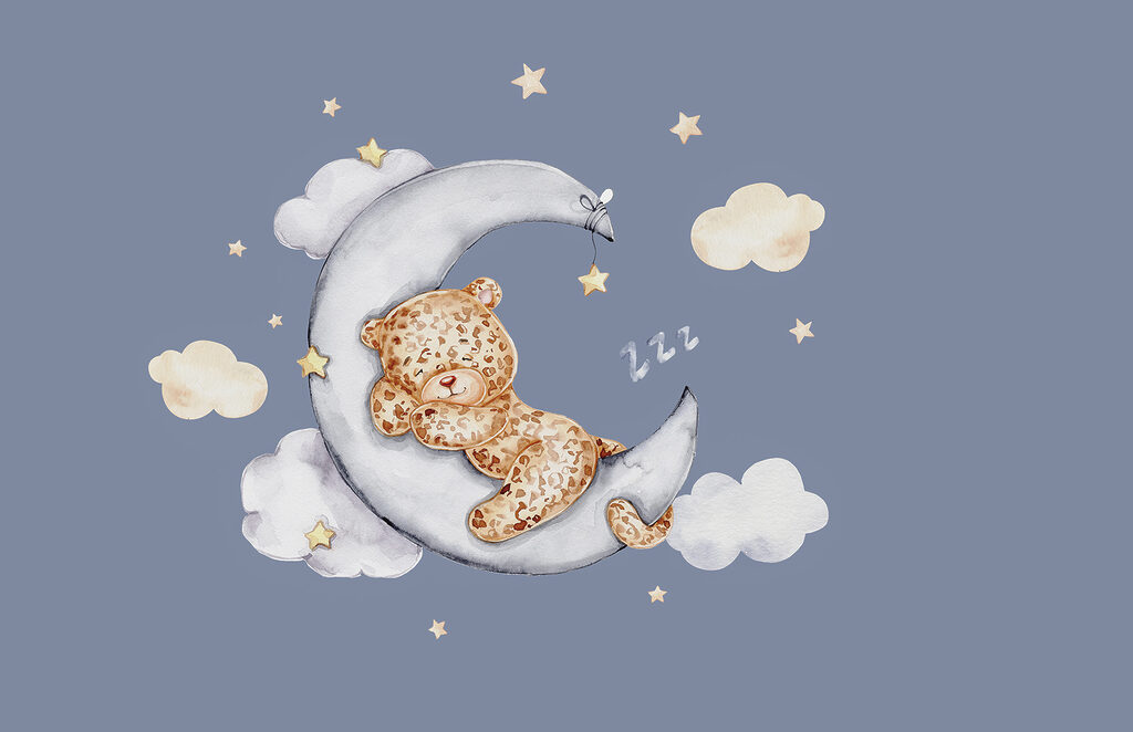Pisicuță pătată pe lună — design complet