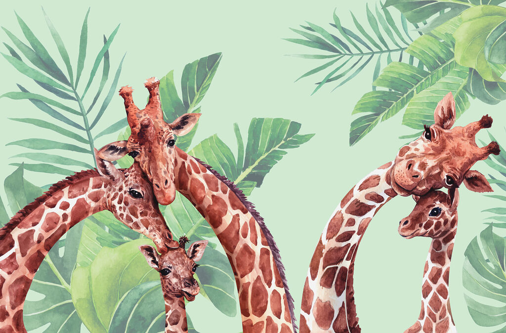 Trei girafe printre frunze — design complet