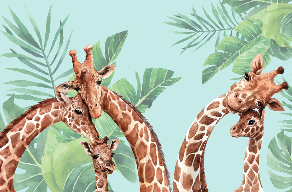 Trei girafe printre frunze — design complet