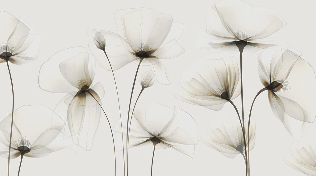 Flori cu petale transparente — design complet