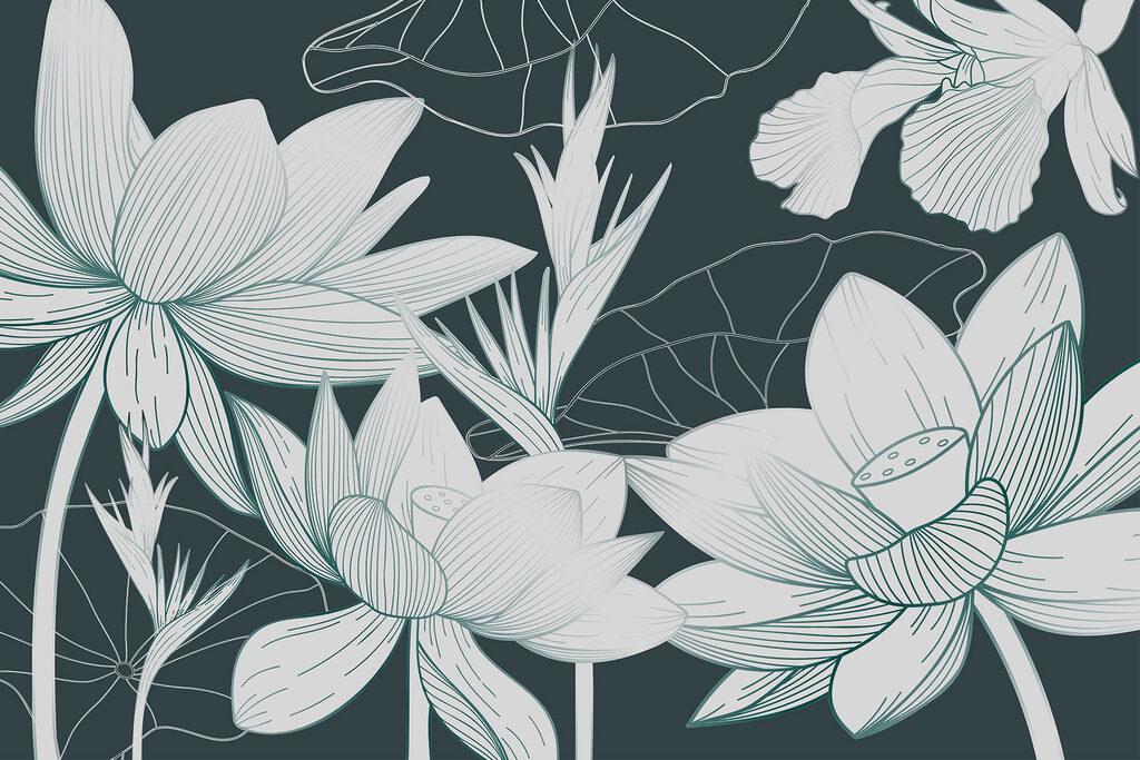 Flori albe, contururi fine — design complet