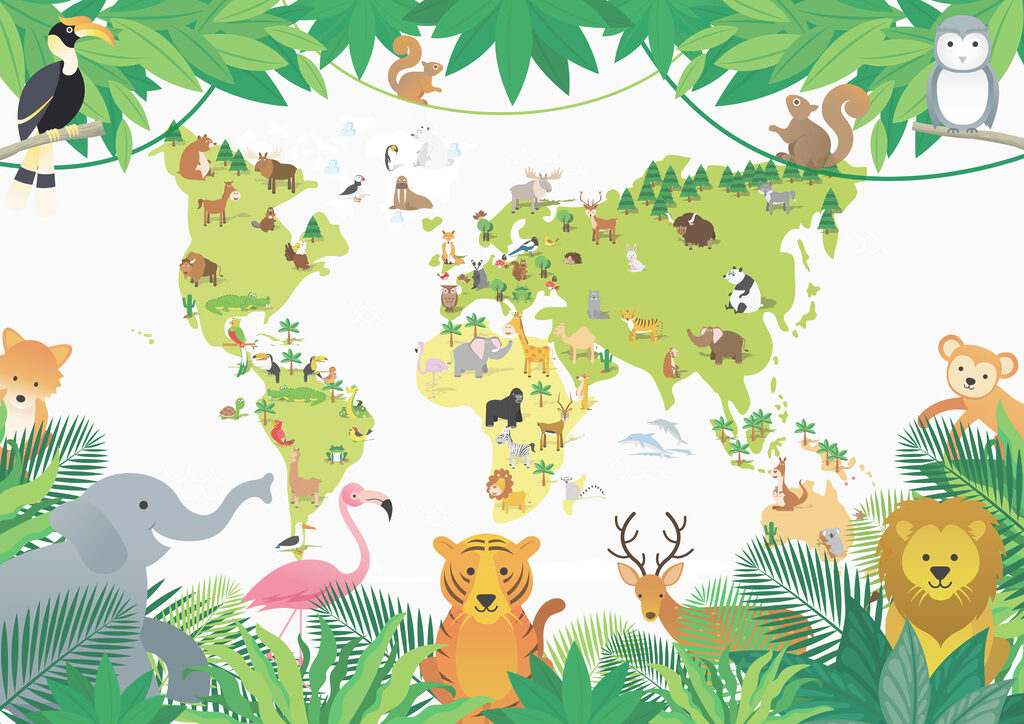 Animale în jurul lumii — design complet