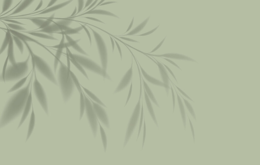 Umbra frunzelor pe verde — design complet