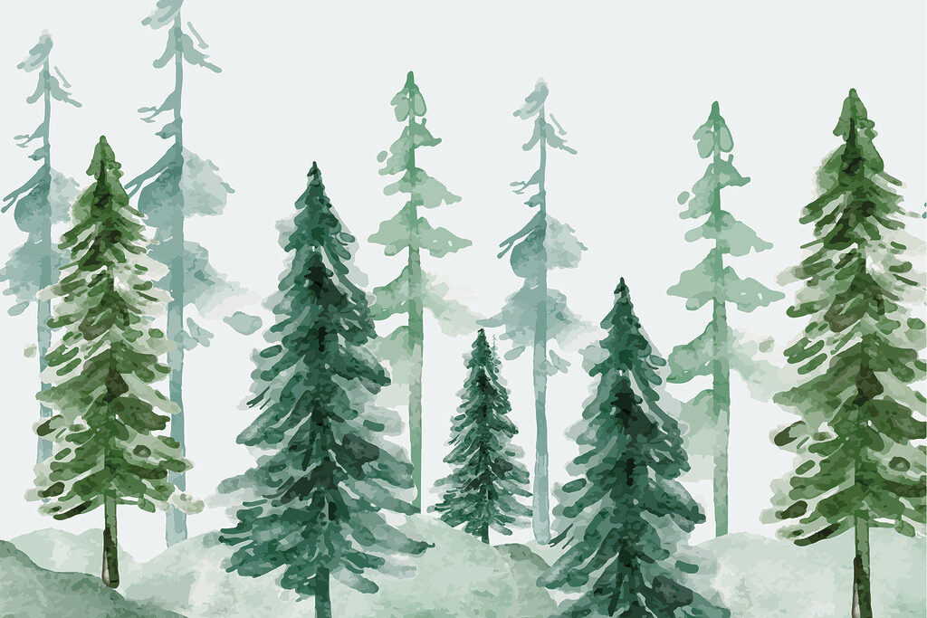 Pini în acuarelă verde — design complet
