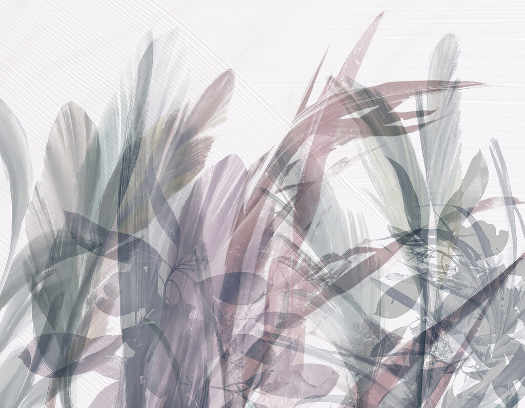 Pădure transparentă — design complet
