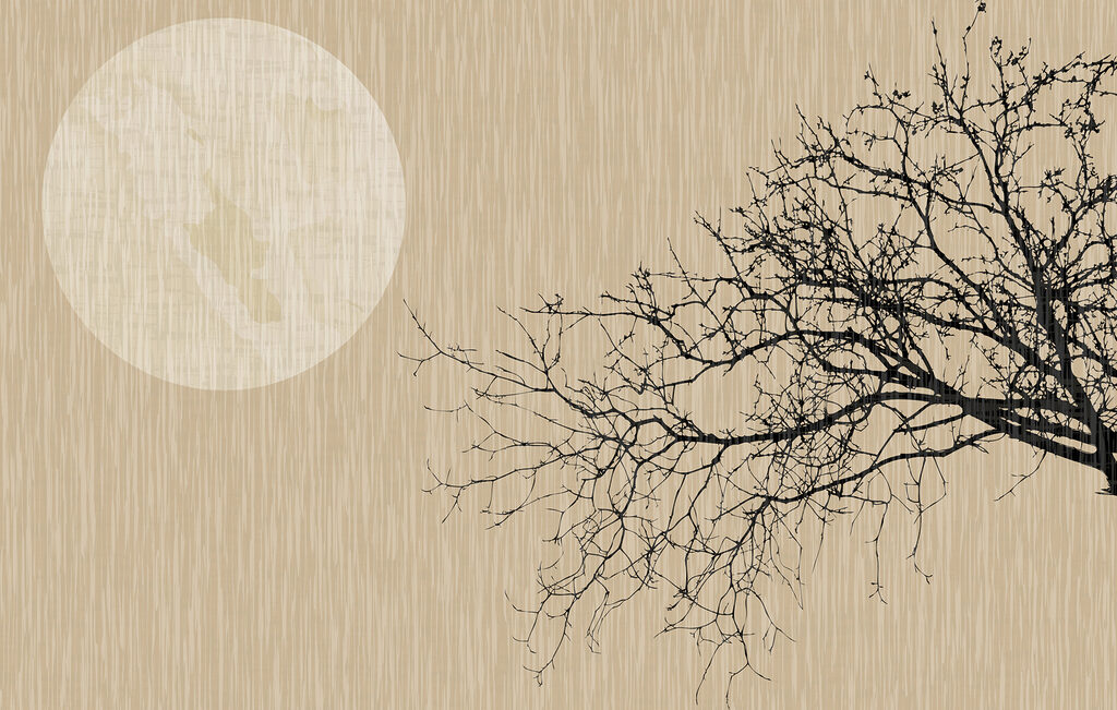 Ramură lângă lună — design complet