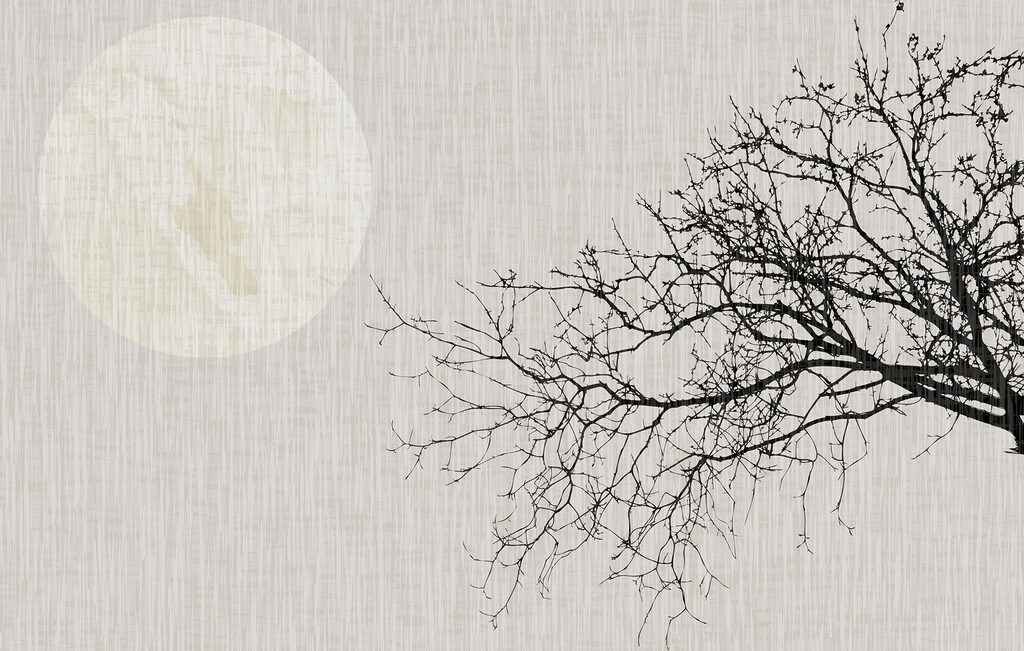 Ramură lângă lună — design complet