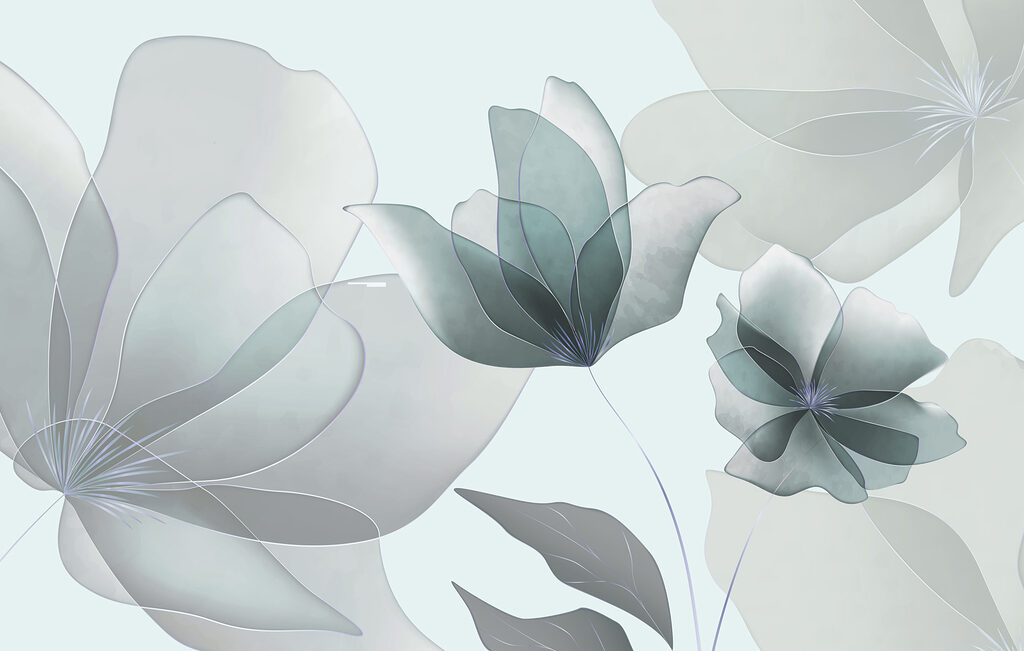 Flori transparente — design complet