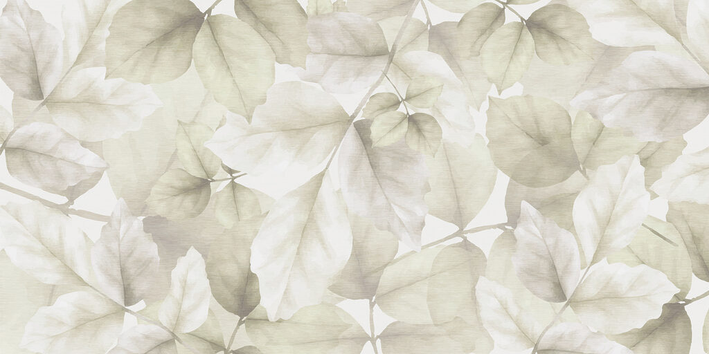 Frunze transparente — design complet