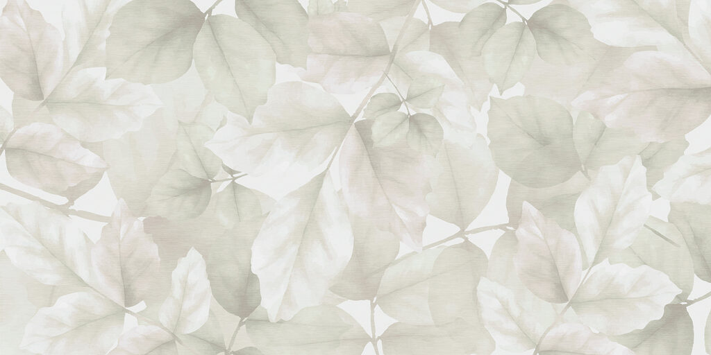 Frunze transparente — design complet