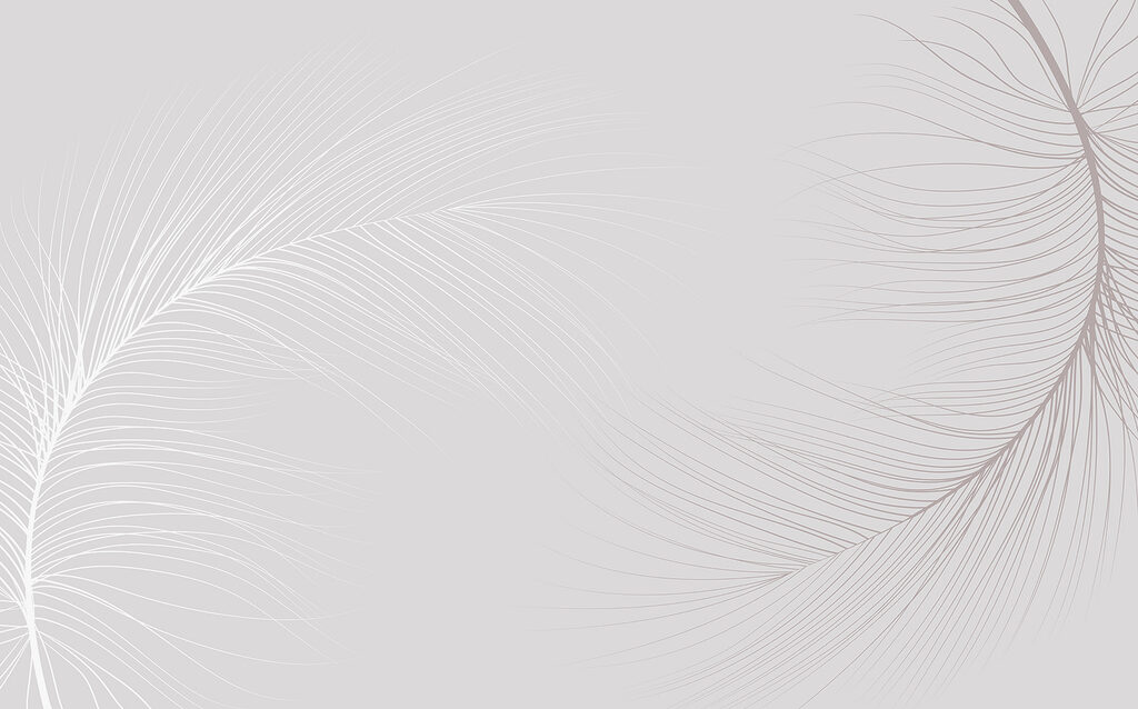 Pene albe din linii — design complet