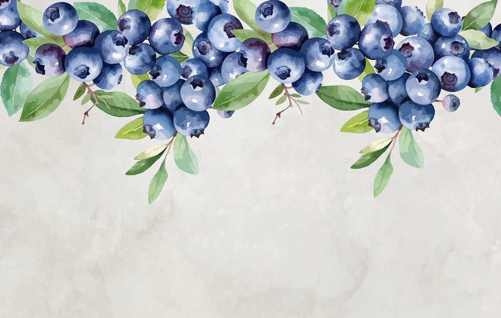 Ramuri cu fructe albastre — design complet