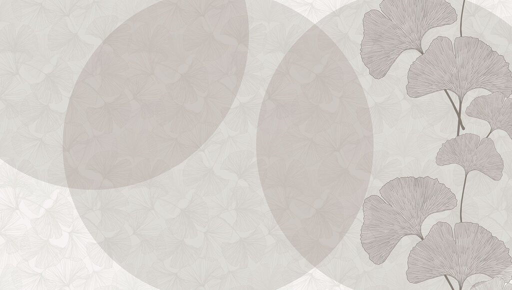 Cercuri transparente suprapuse — design complet