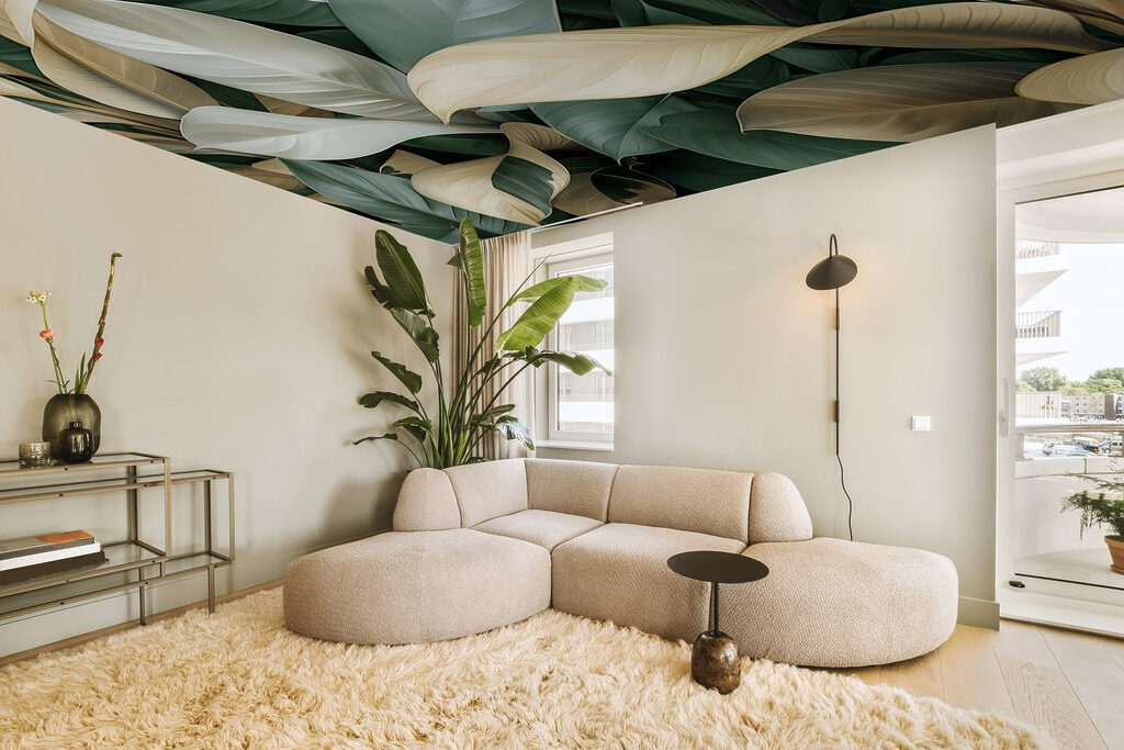 Frunze late, suprapuse — interior 6