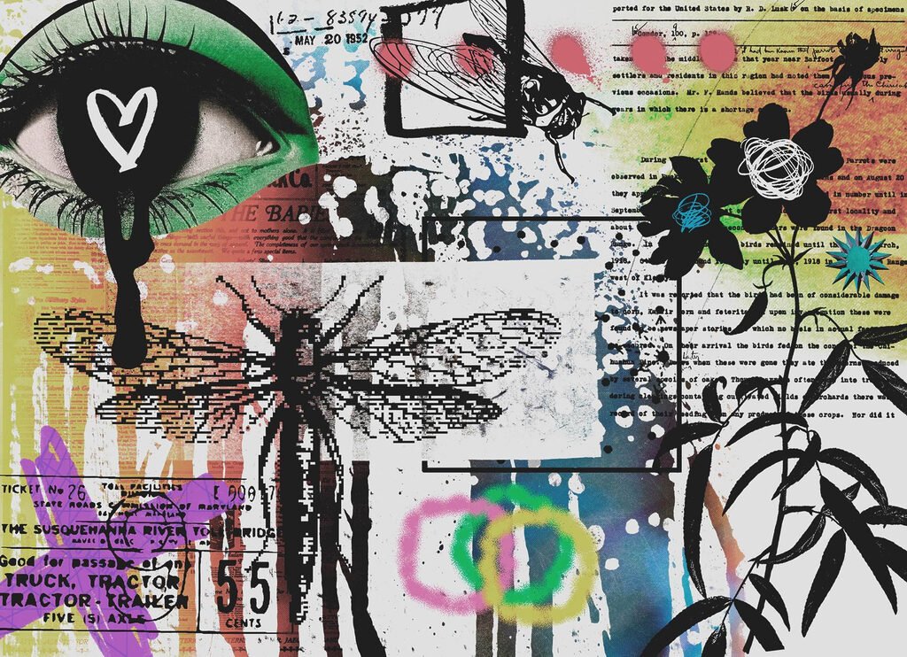Ochi printre pete colorate — design complet