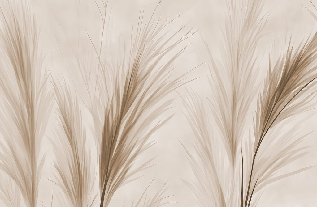 Plume delicate — design complet