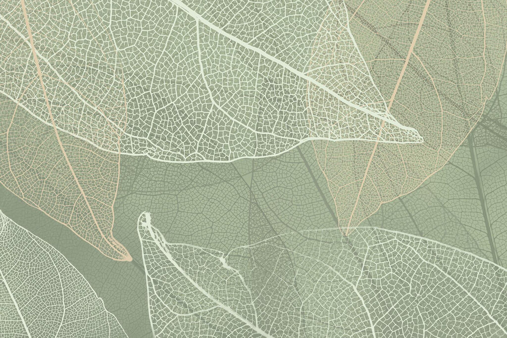 Nervuri de frunze — design complet