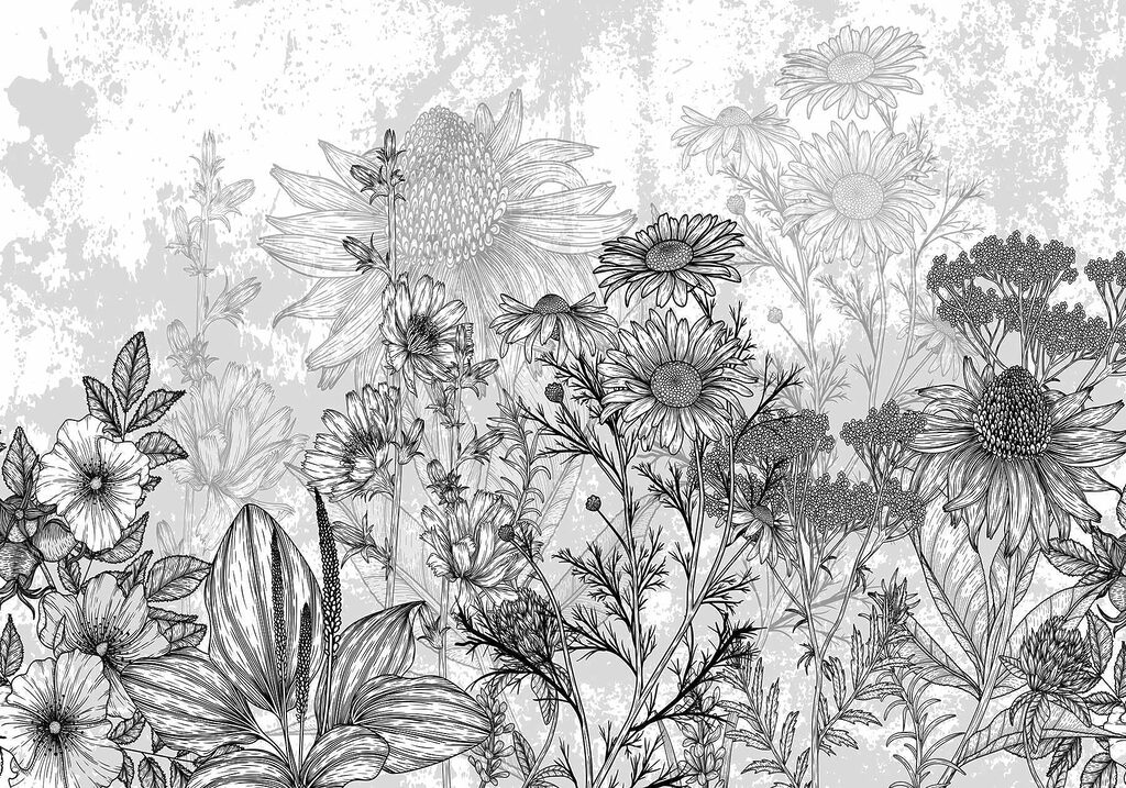 Pajiște în linii negre — design complet